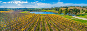 We-Make-and-Install-Surface-Aerators-in-Ponds-for-Wineries