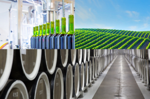 What is Winery Wastewater?