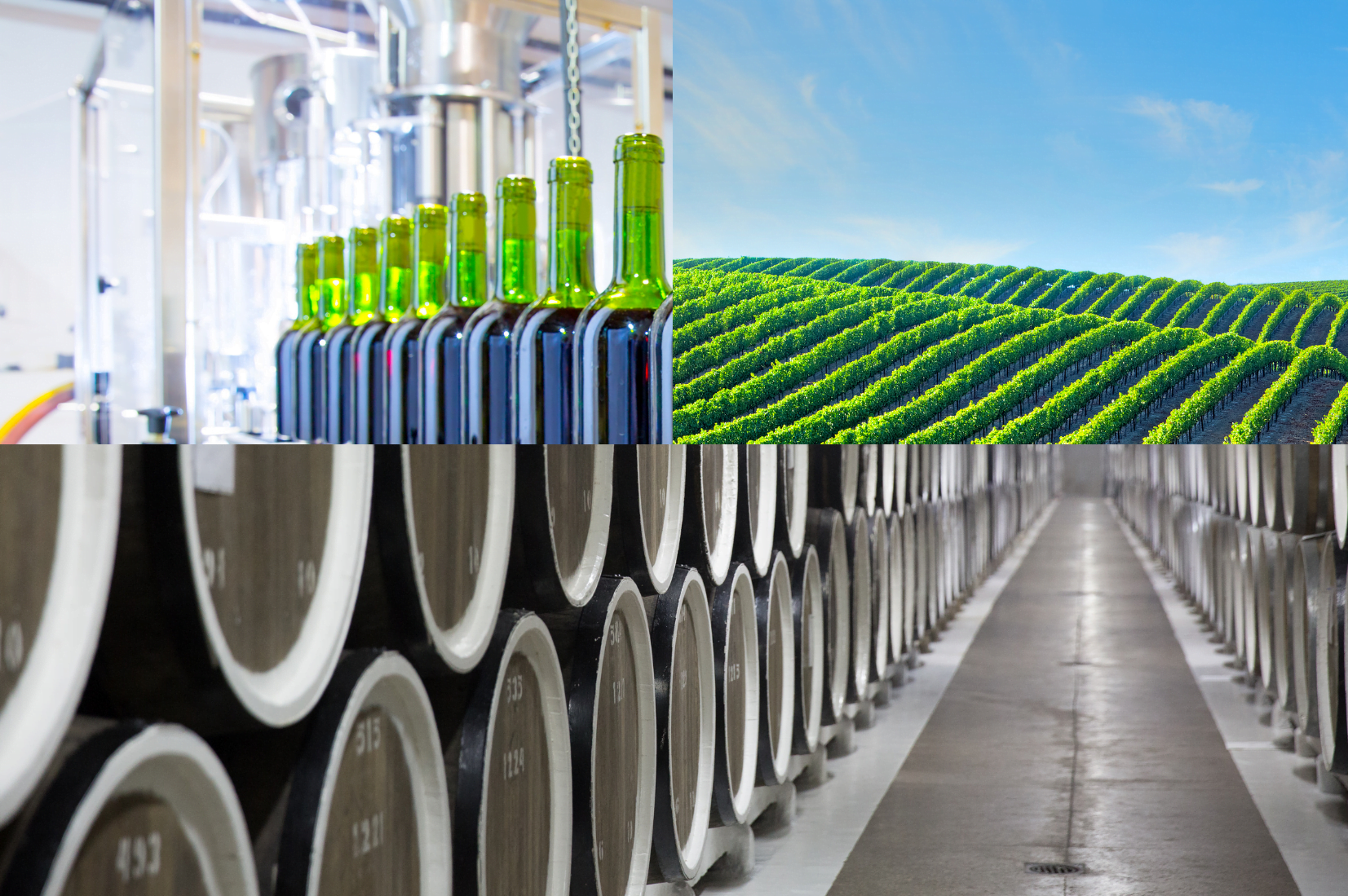 What is Winery Wastewater?
